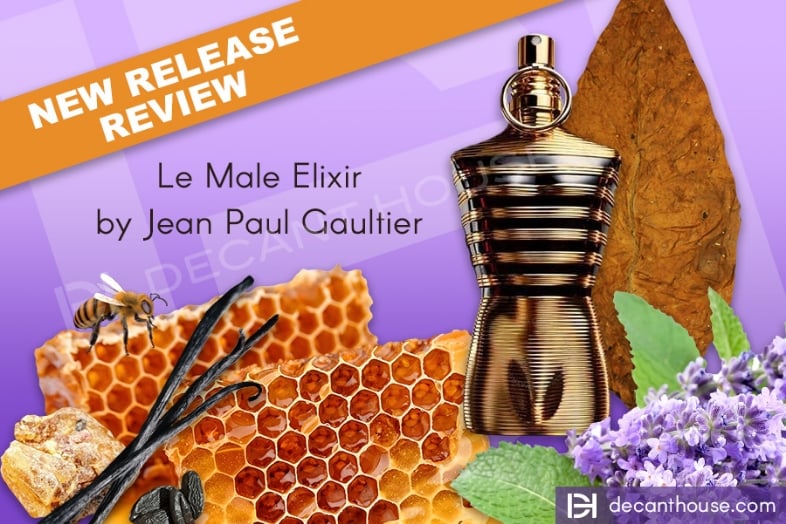 JPG Elixir Scent: What Makes It So Special?