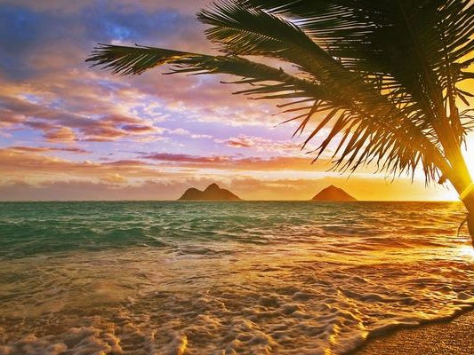 Summer, Love, and January Sun: Perfect Vacation Vibes