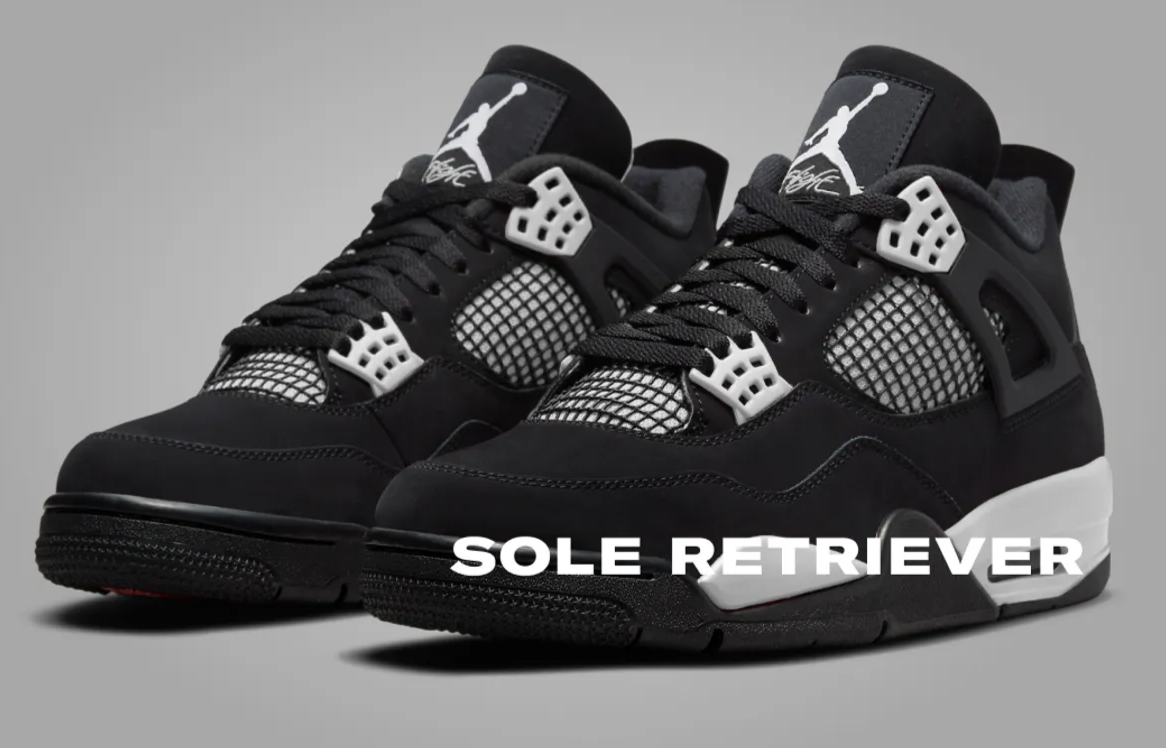 Panda 4S: Your Go-To Guide for Buying and Maintenance.