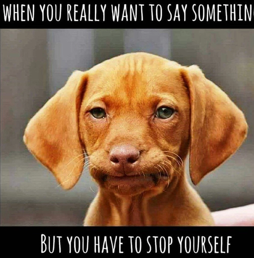 Relatable Holiday Memes for Work: You Are Not Alone This Season