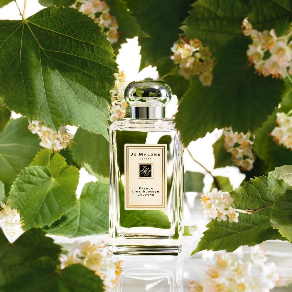 Where to Buy French Lime Blossom Jo Malone? Best Deals Here