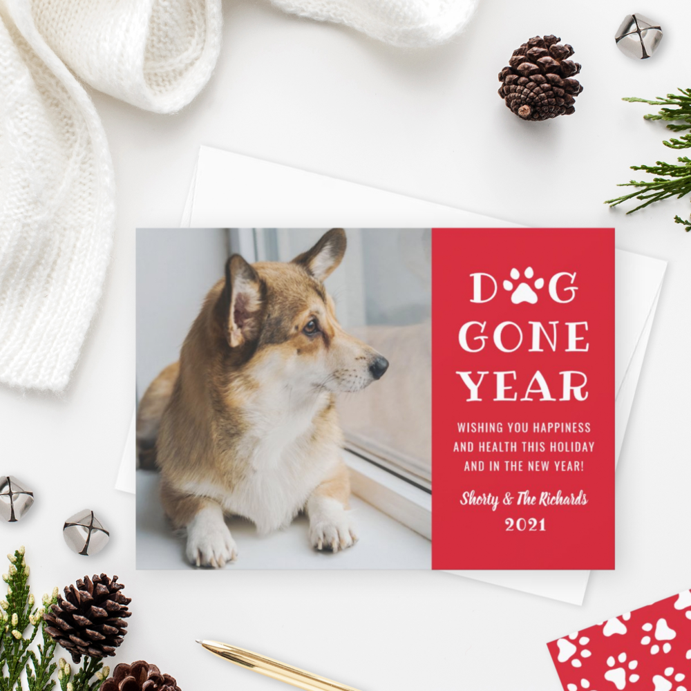 Best Dog Holiday Cards for 2023: Top Picks and Trends.