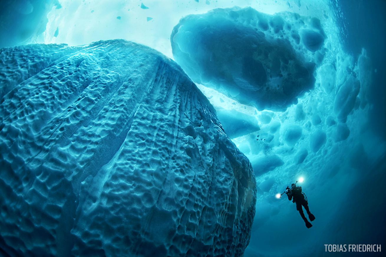 Diving Deep into the Back to the Future Iceberg: Secrets Revealed
