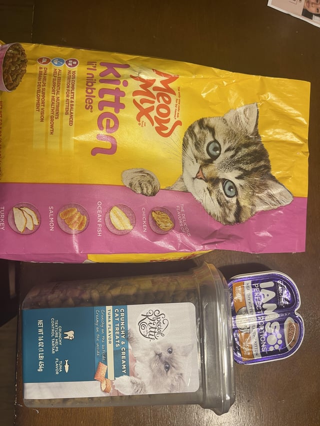 How to choose safe cat food, after reports of meow mix killed my cat, protect your feline friend.