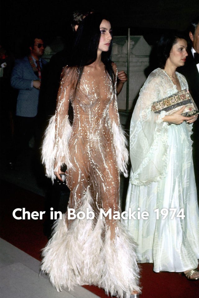 Cher Met Gala Outfit: The Ultimate Fashion Statement? (All the Details You Need to Know About Her Look)