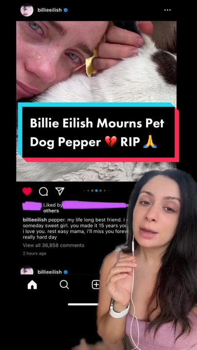 What is Billie Eilishs Favorite Animal? You Wont Guess It!