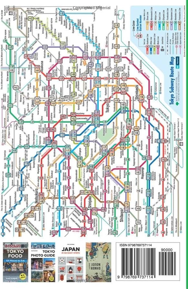 Tokyo Maze Guide: Navigating the Citys Complex Streets