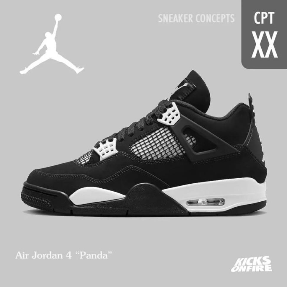 Panda 4S: Your Go-To Guide for Buying and Maintenance.