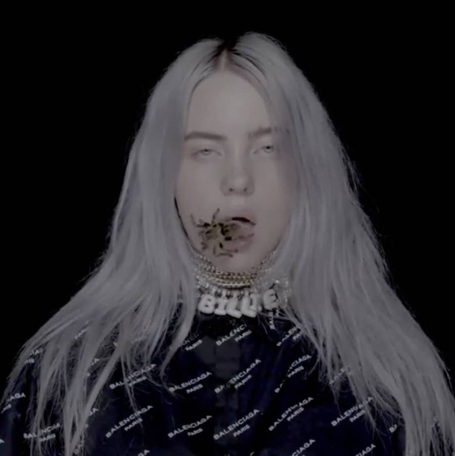 What is Billie Eilishs Favorite Animal? You Wont Guess It!