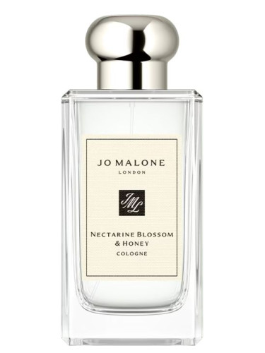 Nectarine Honey Blossom: What Is It and Why Is It So Good?