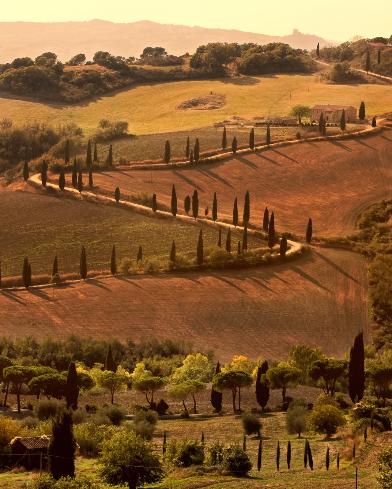 Train from Paris to Tuscany: All you need to know (scenic routes, travel times, and cost)