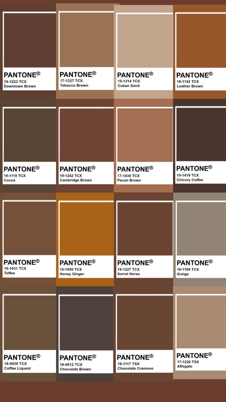 Pantone Brown Color: What It Is and How to Use It!