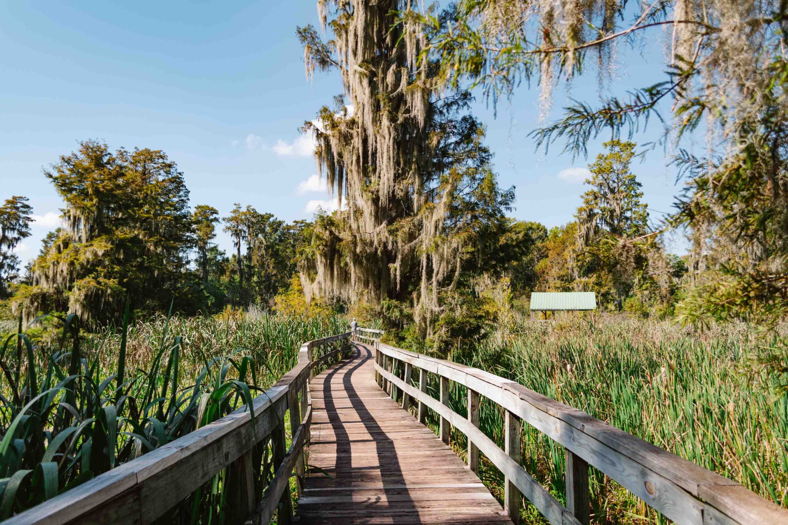 What to Do in Augusta GA: A Locals Guide to the Best Activities and Hidden Gems