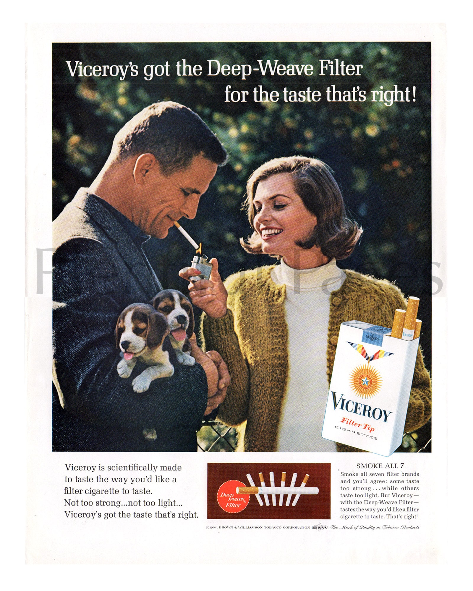 Viceroy Cigarettes: Are They Good? A Complete Review of Taste, Price, and Quality.