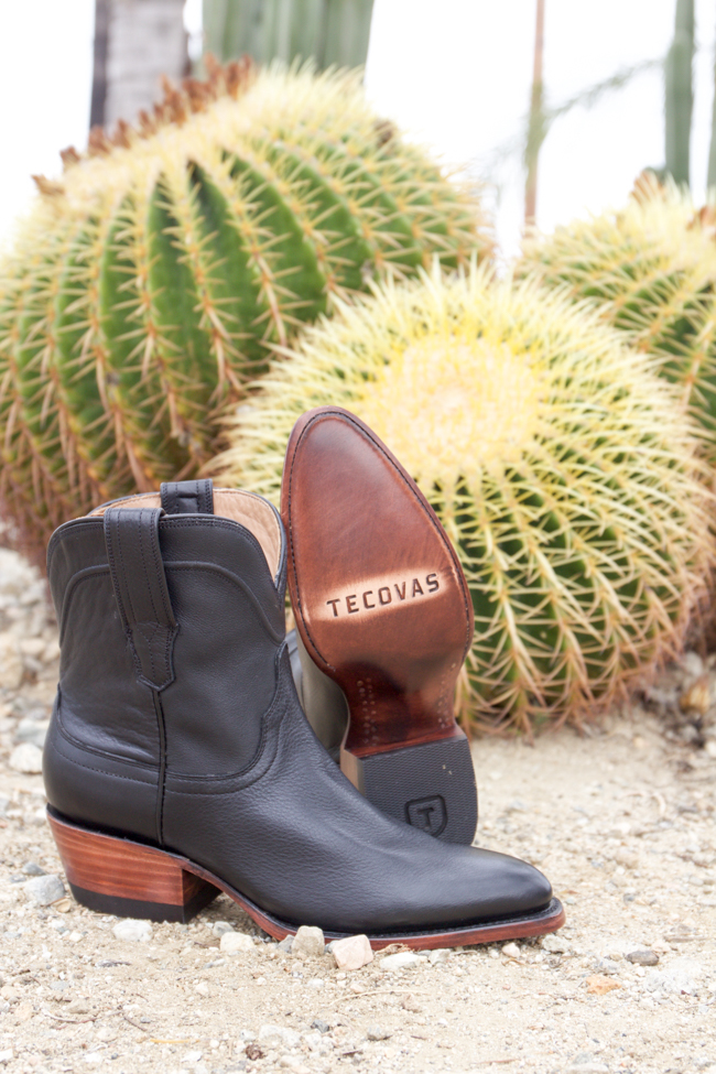 Tecovas Revenue Update: Everything You Need to Know About Their Earnings