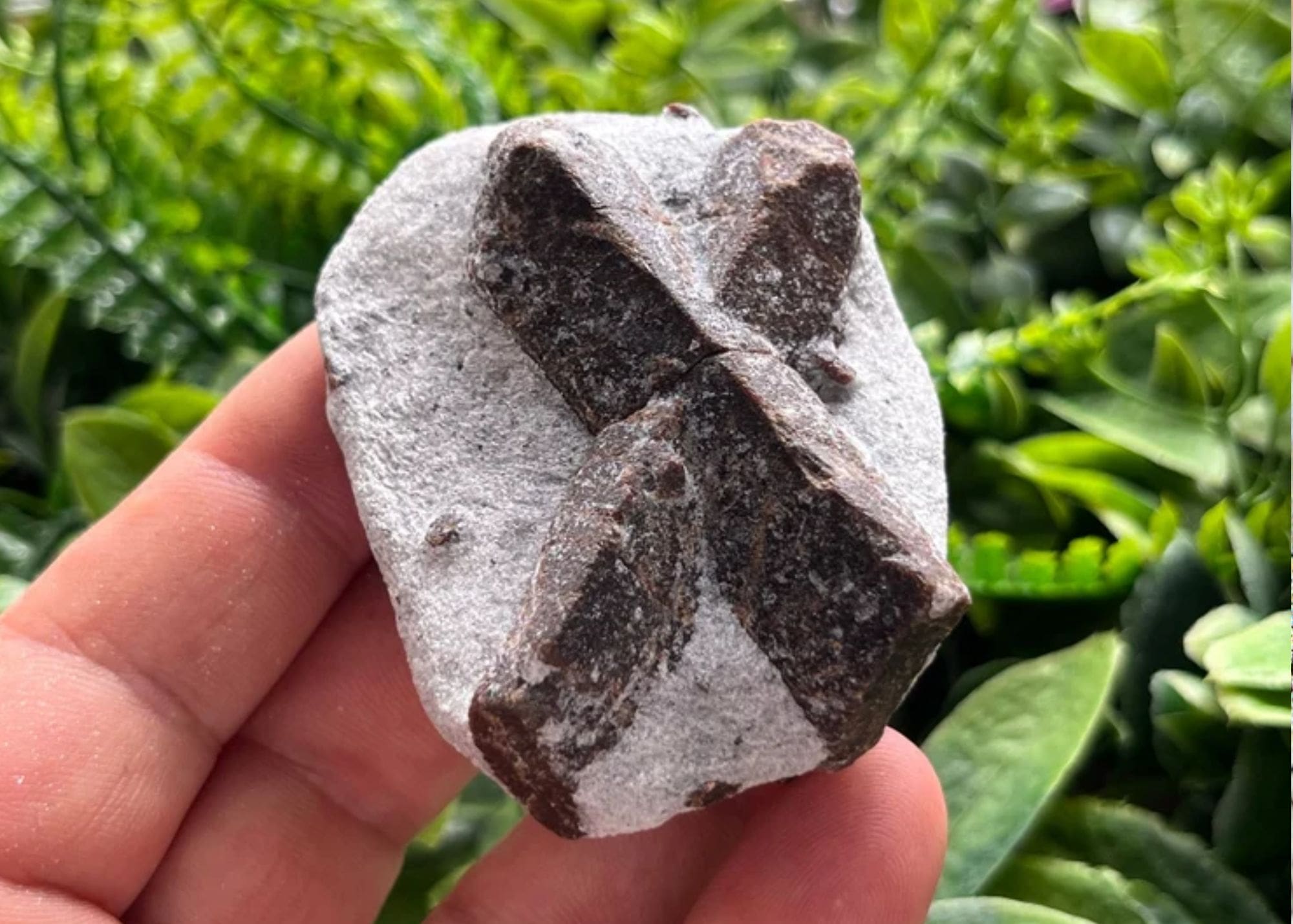 Gem Mining in Pennsylvania: Your Guide to a Sparkling Adventure! Everything You Need to Know and Where to Go!
