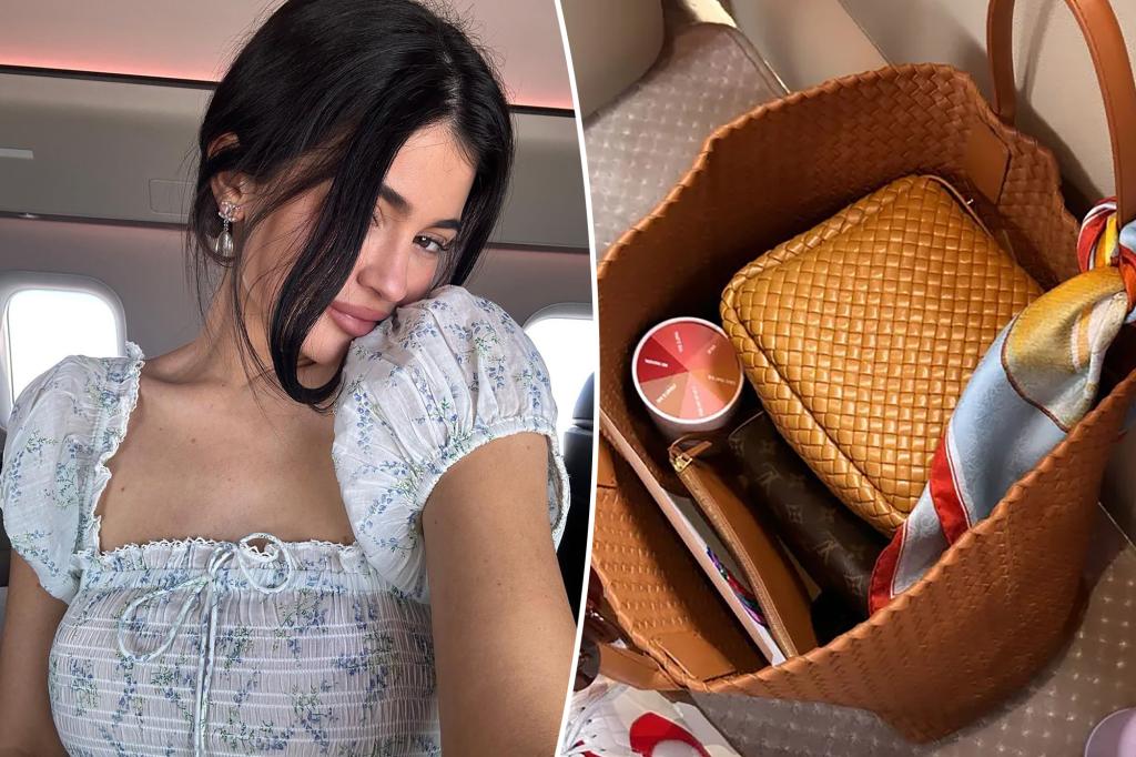 Want Kylie Jenners Bottega Veneta Bag? Heres the Deal!