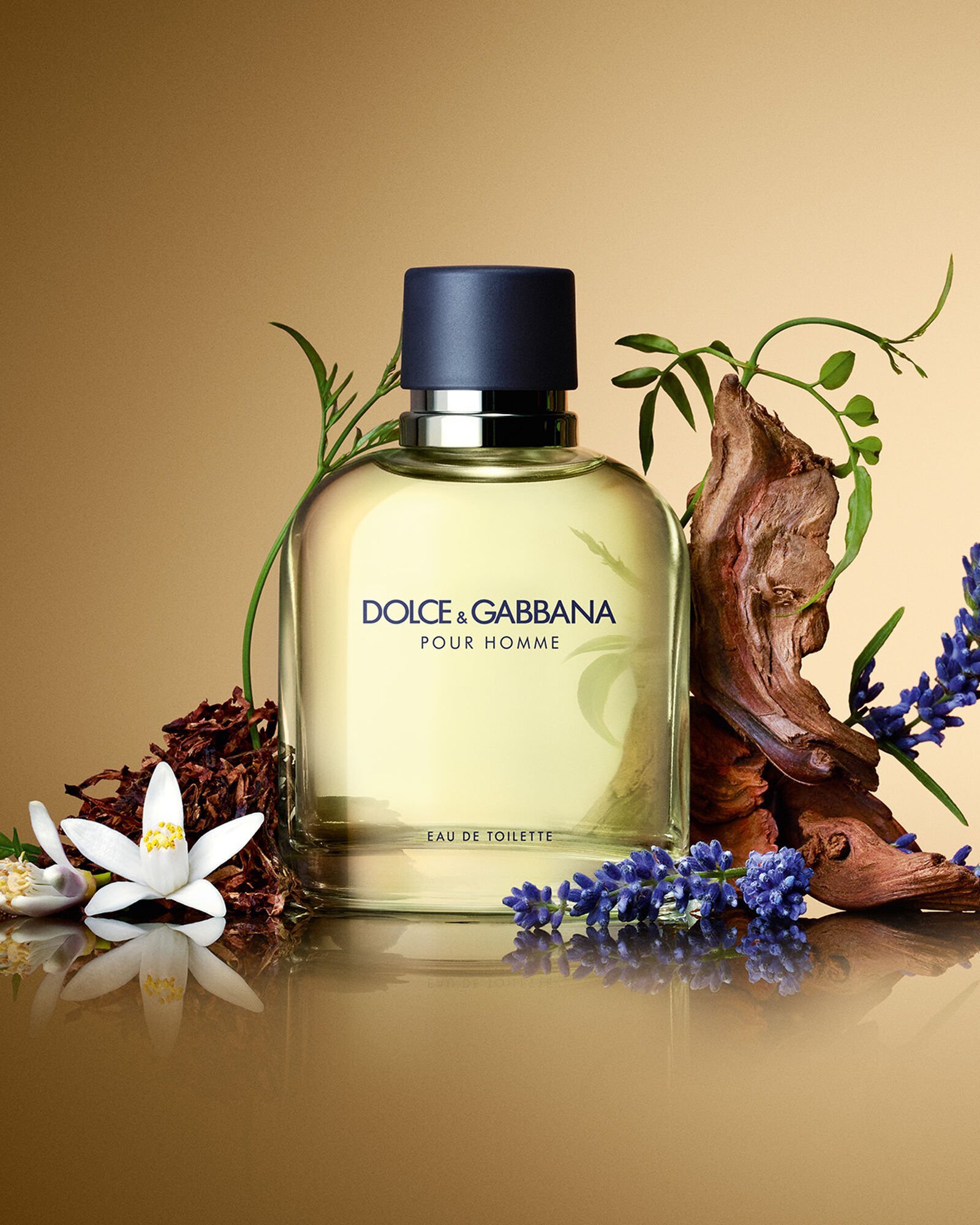 dolce&gabbana pour homme: Is It the Right Fragrance for You?