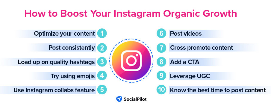 How to Organically Increase Instagram Followers: A Beginners Guide to Growing Your Instagram Presence!
