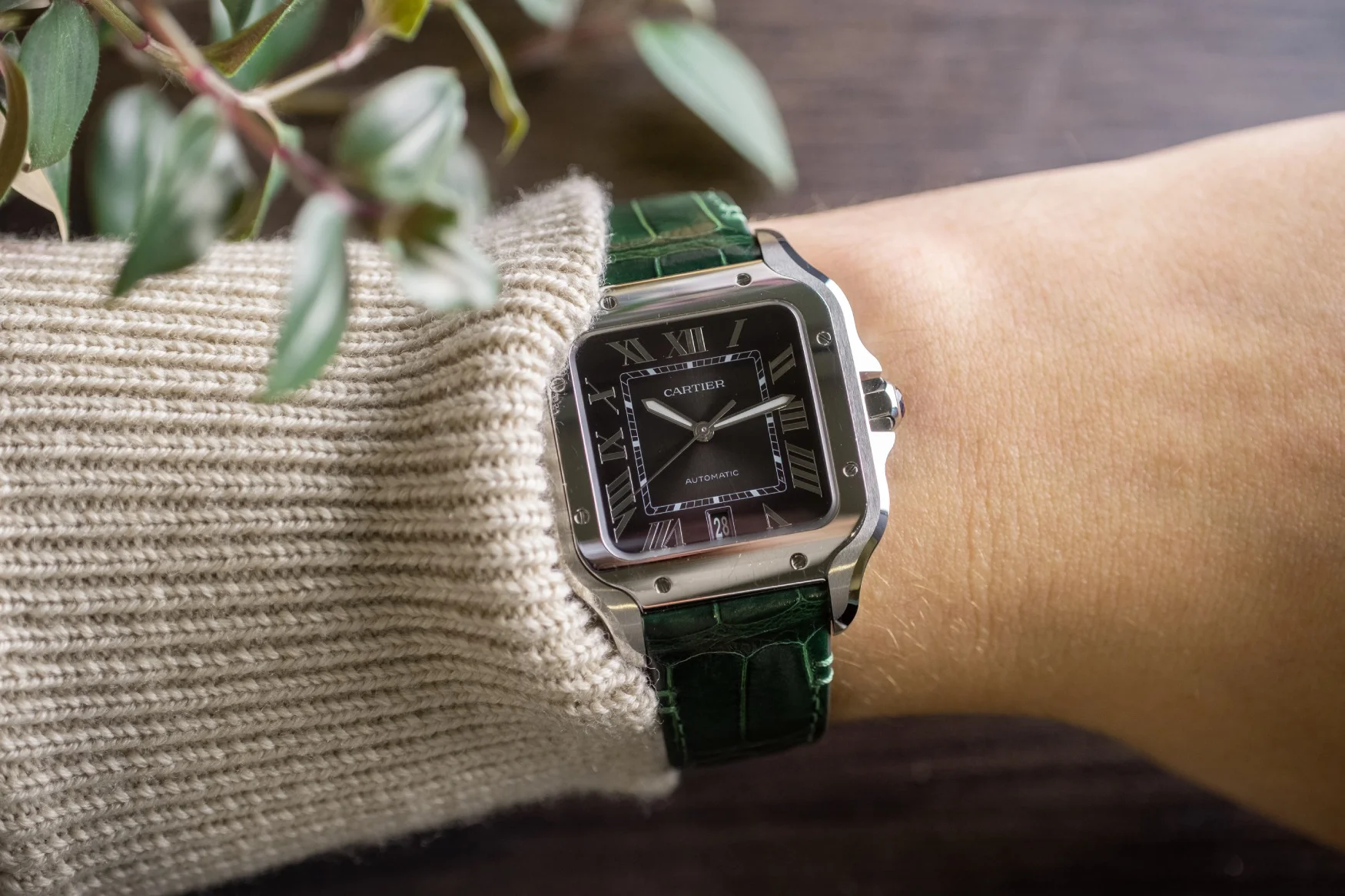 Cartier Santos Green Face: Comparing to Other Luxury Watches?