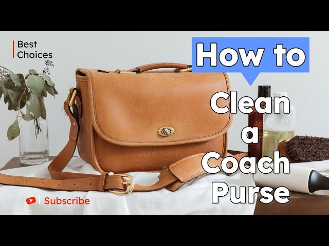 How to Clean a Coach Cloth Purse and Keep It Look New? Check Out These Tips!