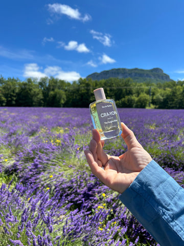 The Smell of Lavande: Why is it So Popular in Perfumes and Aromatherapy?