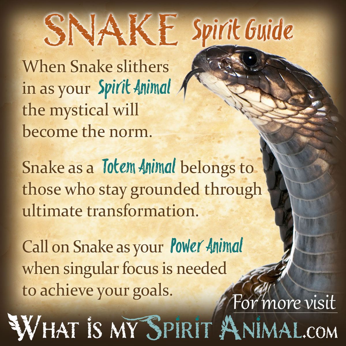 Ever Wondered What Are Snakes a Symbol Of? Get the Answer!