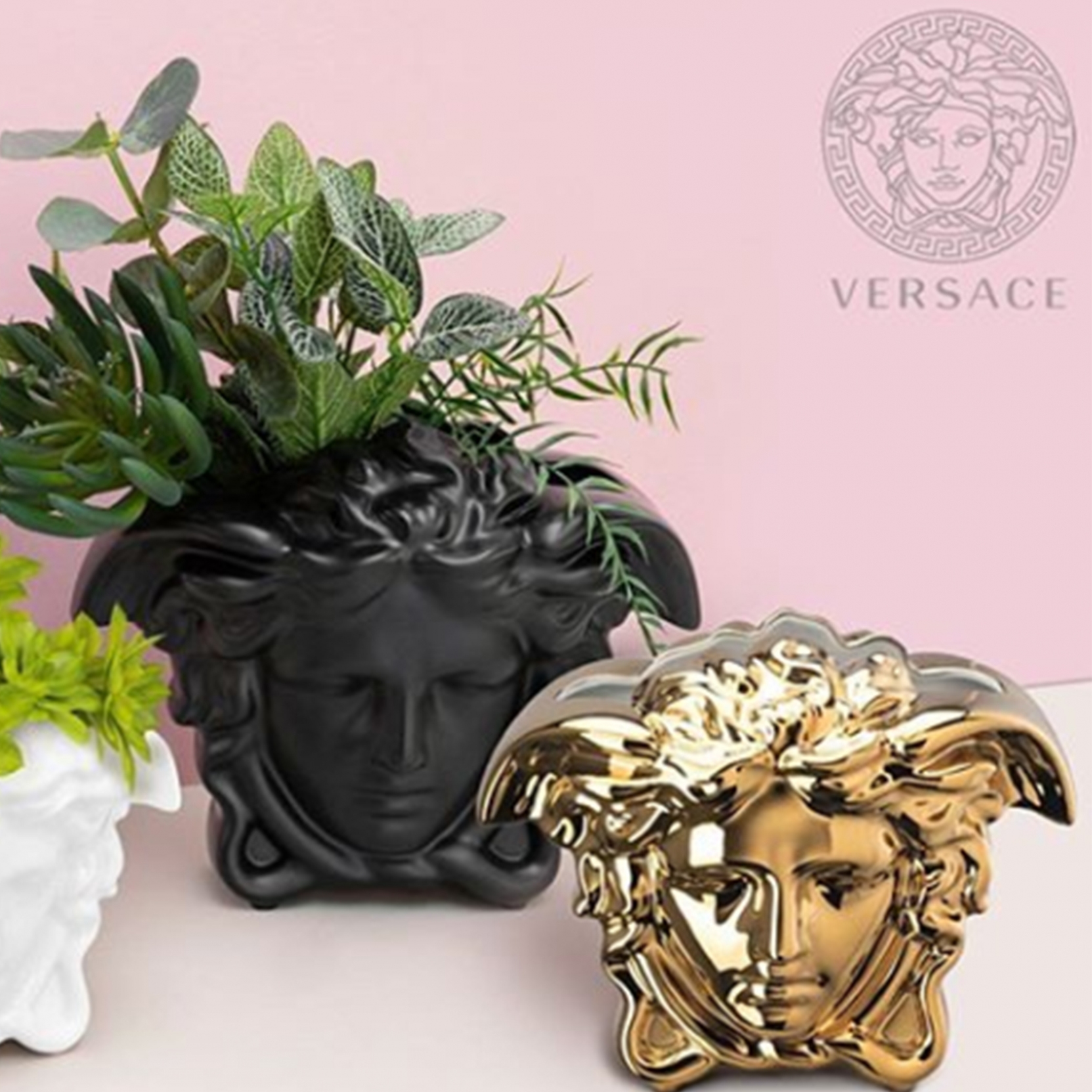 Versace Vase: A Buyers Guide for This Luxury Item.