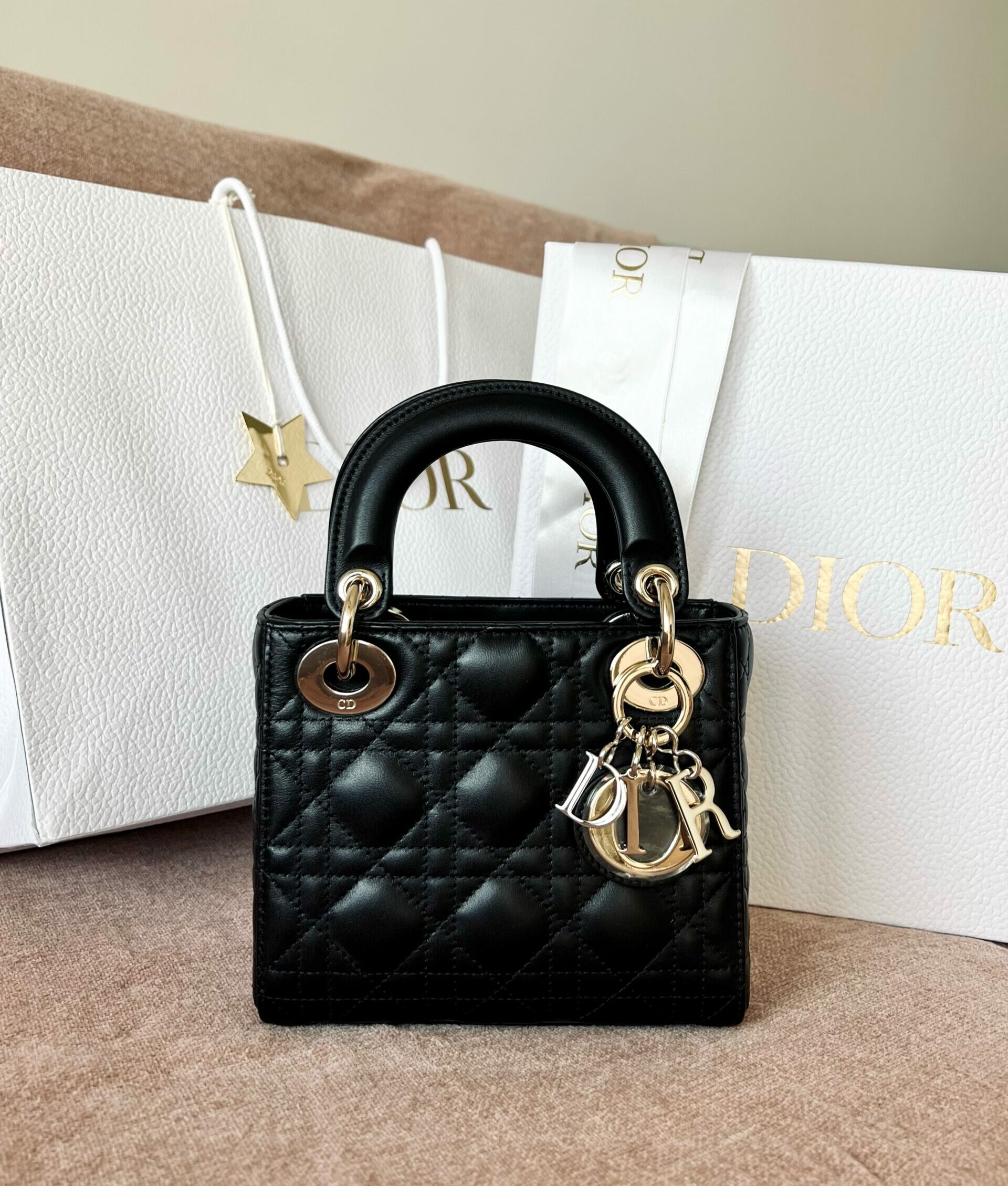 Dior Midi Mini Bag Review: Is It Worth the Investment?
