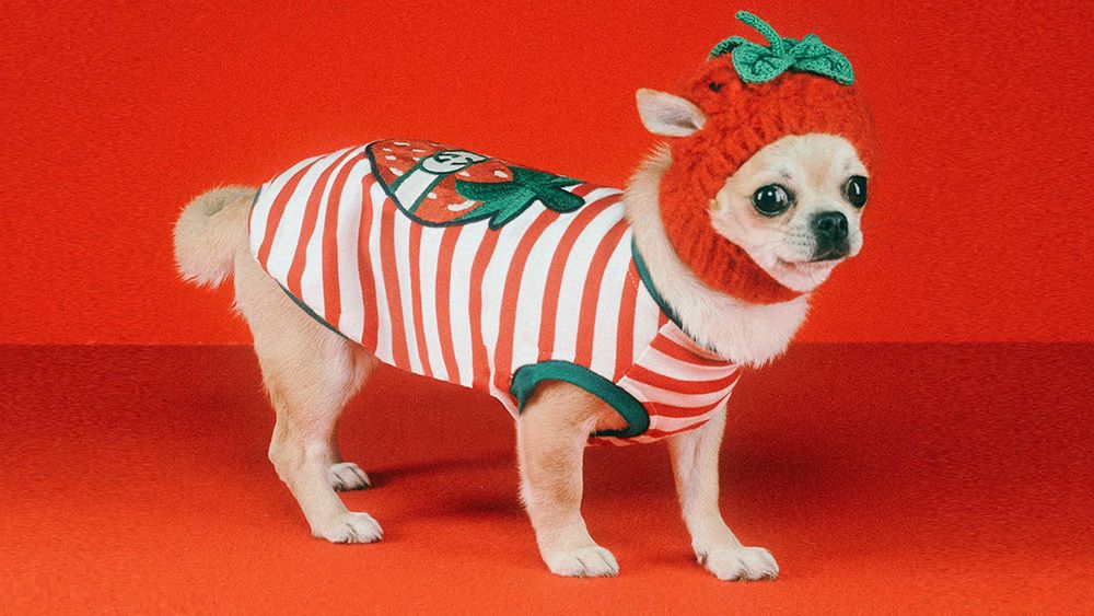 House of Gucci: Animals in the Background(Easy Guide)