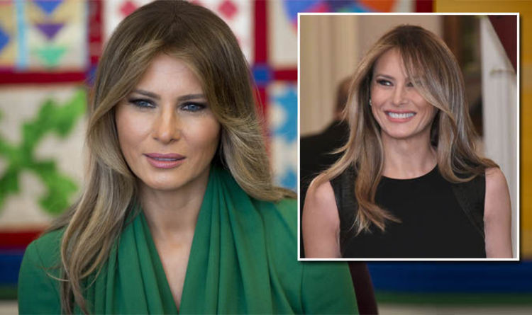 Copy Melania Hair style: Step-by-Step,easy for new