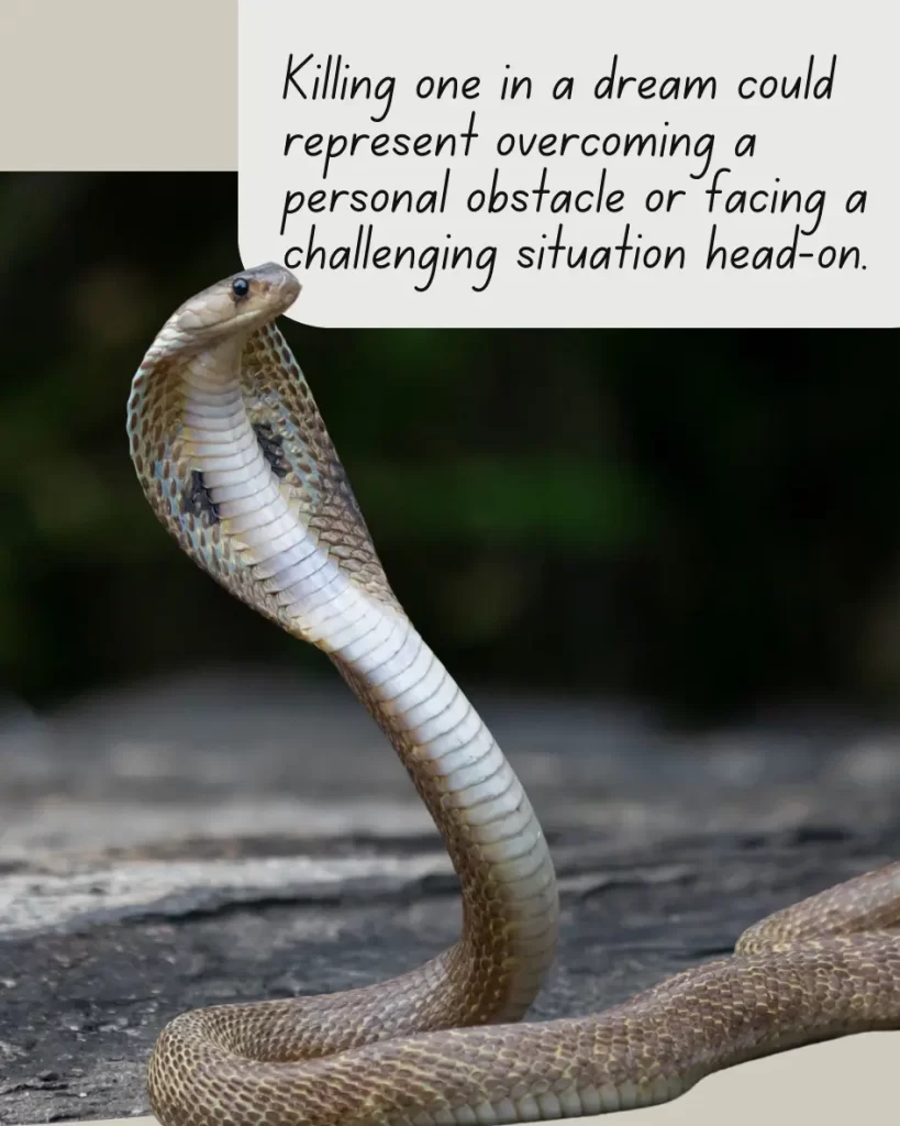 That Scary Evil Snake In Dreams: What Could It Mean For Your Waking Life?