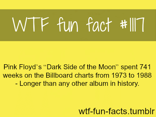 Explore: Is the Dark Side of the Moon More Lumpy? Quick Facts!