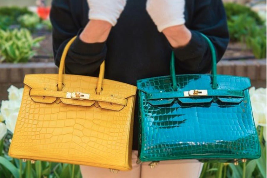 Why is the hermes crocodile birkin bag incredibly pricey? We explore its unique status symbol value.