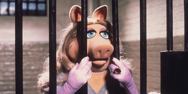 Why is Miss Piggy in Jail?(Get all Details and Updates Now)