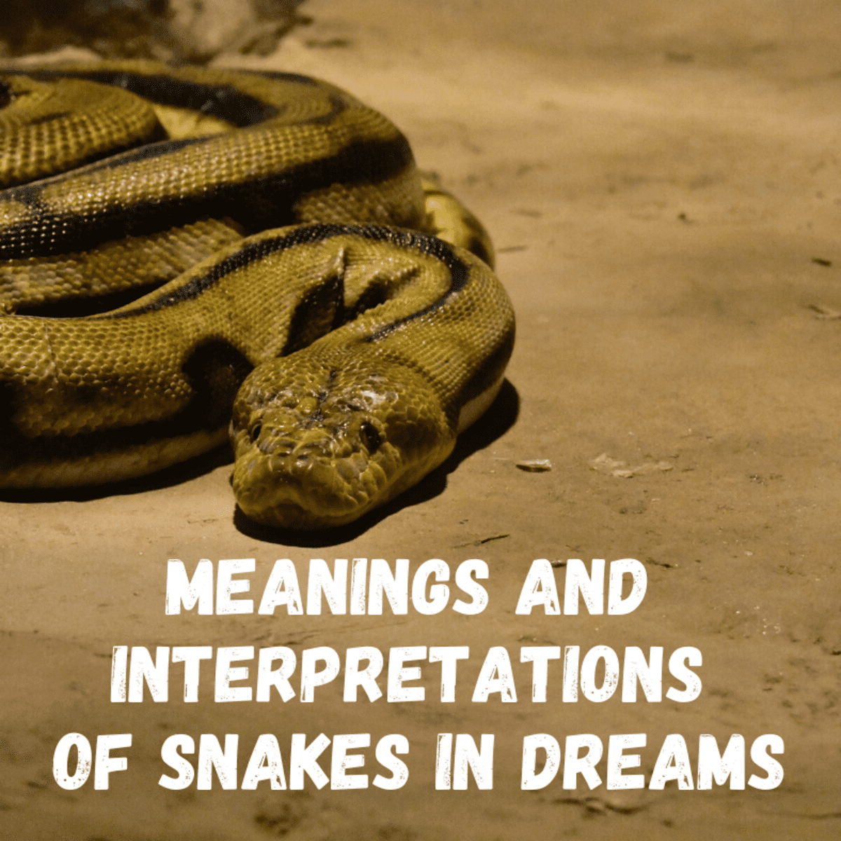 That Scary Evil Snake In Dreams: What Could It Mean For Your Waking Life?