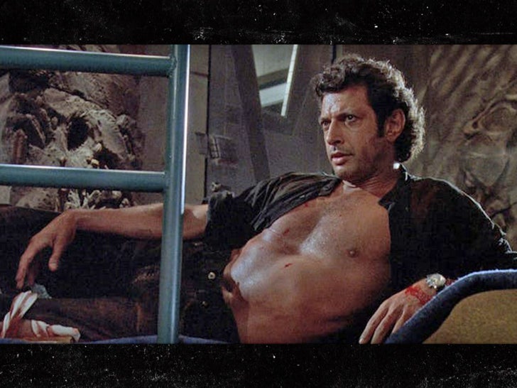Get the Look: How to Channel Your Inner Sexy Jeff Goldblum.