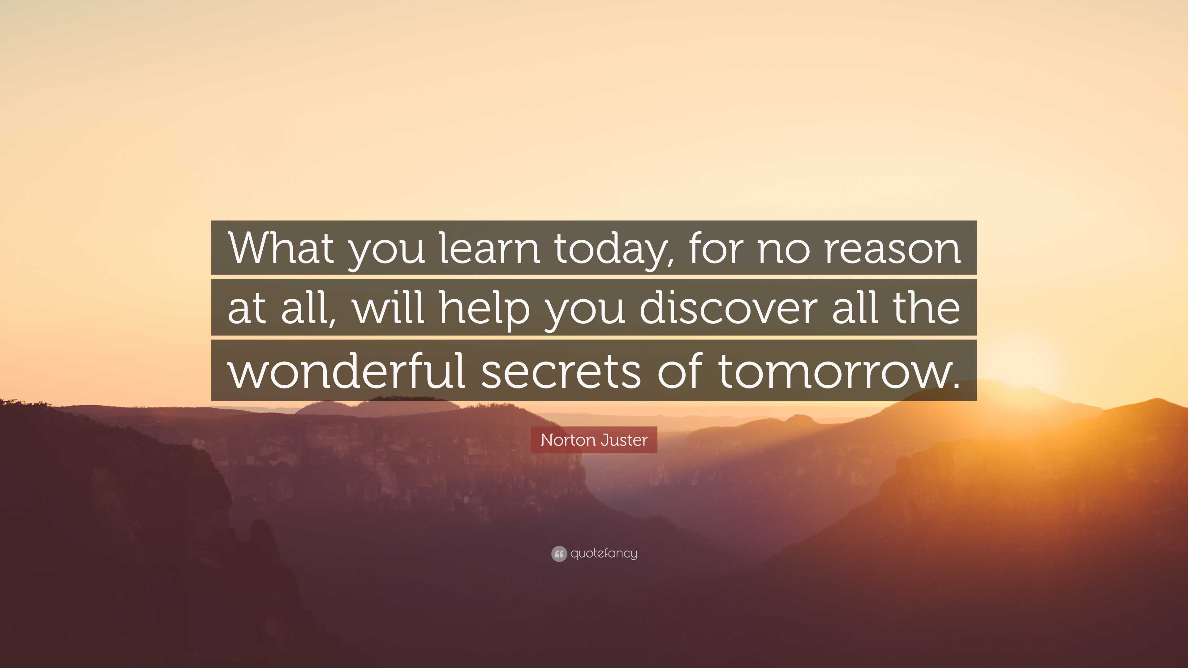 What is alydo really about? Discover its key features and see how it can help you today.