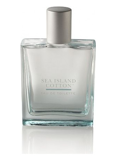 The History of Bath & Body Works Seaside Cotton fragrance