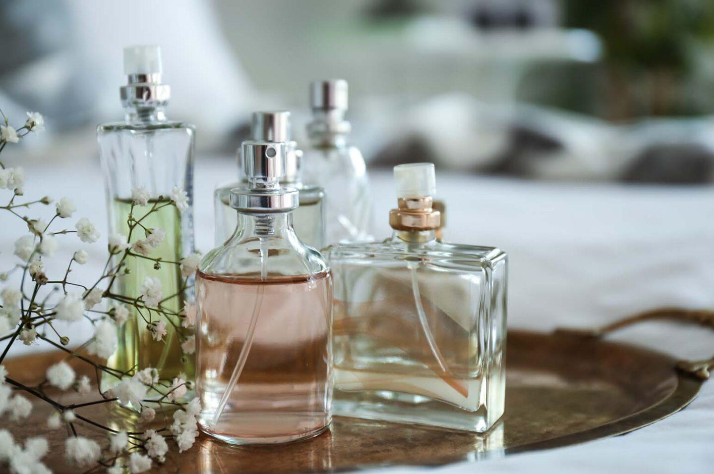 How to Choose a Zest for Life Perfume? Tips & Tricks