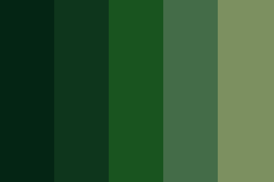 Dark Green Color Schemes: Find the Perfect Colors Here