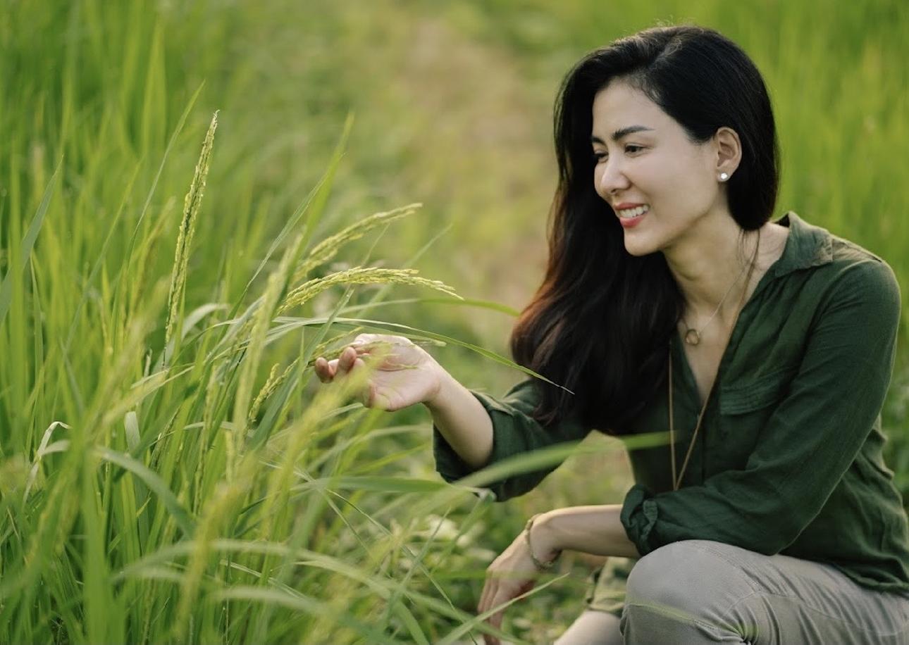Want fun facts about cherry thai actress? Weve got some cool trivia youll love!