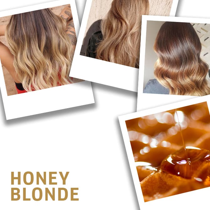 How do professional stylists create a custom honey blonde formula? Learn insider secrets for getting that beautiful warm look.