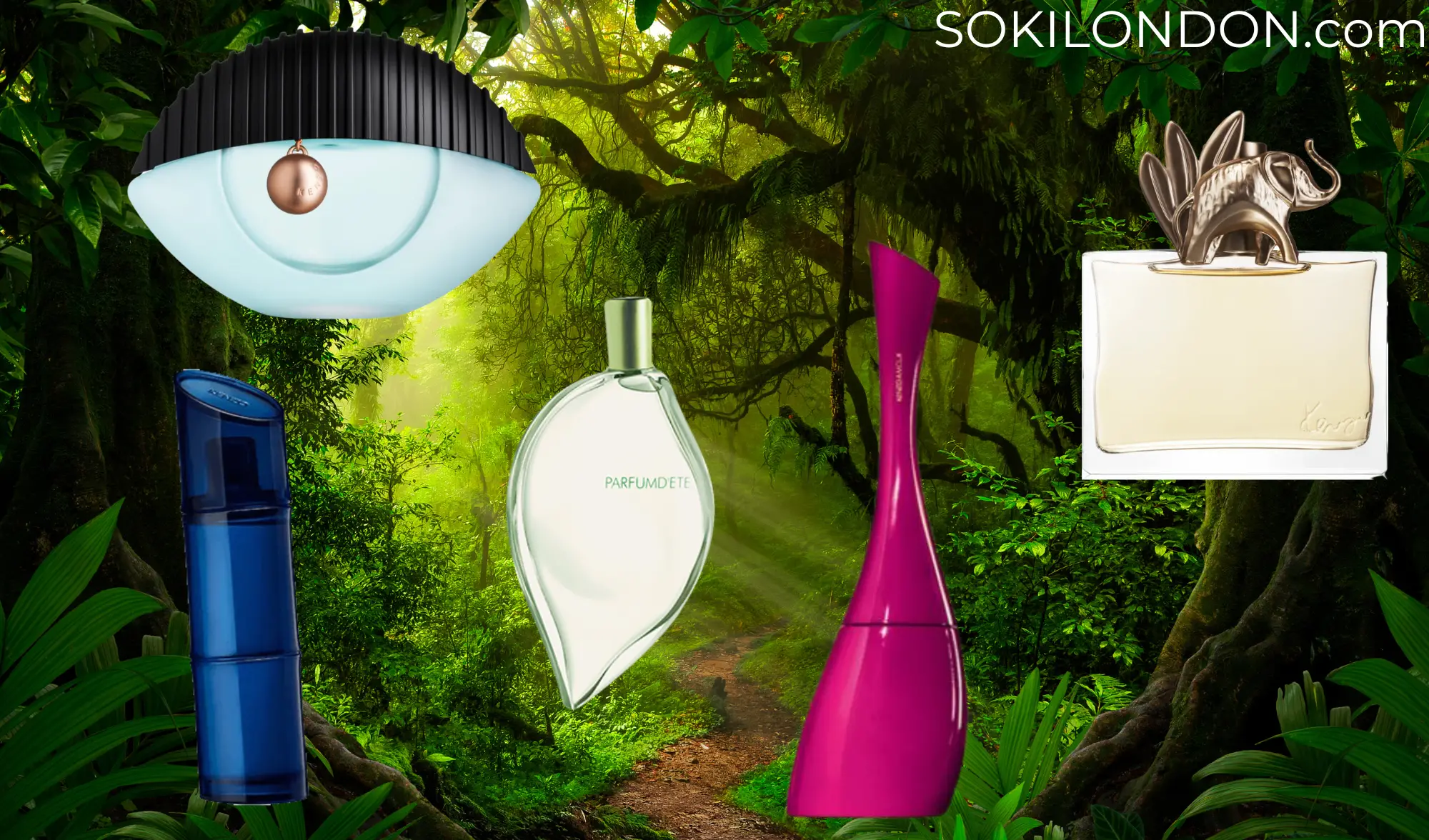 Kenzo Eau de Parfum Homme Review: The Ultimate Scent Guide