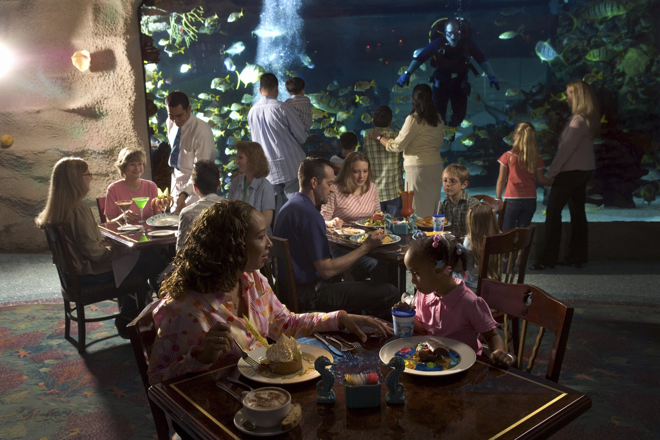 Why are immersive restaurants becoming so popular? Understand the appeal of these exciting unique dining spots.