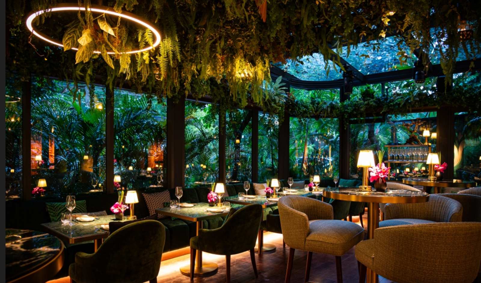 Why are immersive restaurants becoming so popular? Understand the appeal of these exciting unique dining spots.