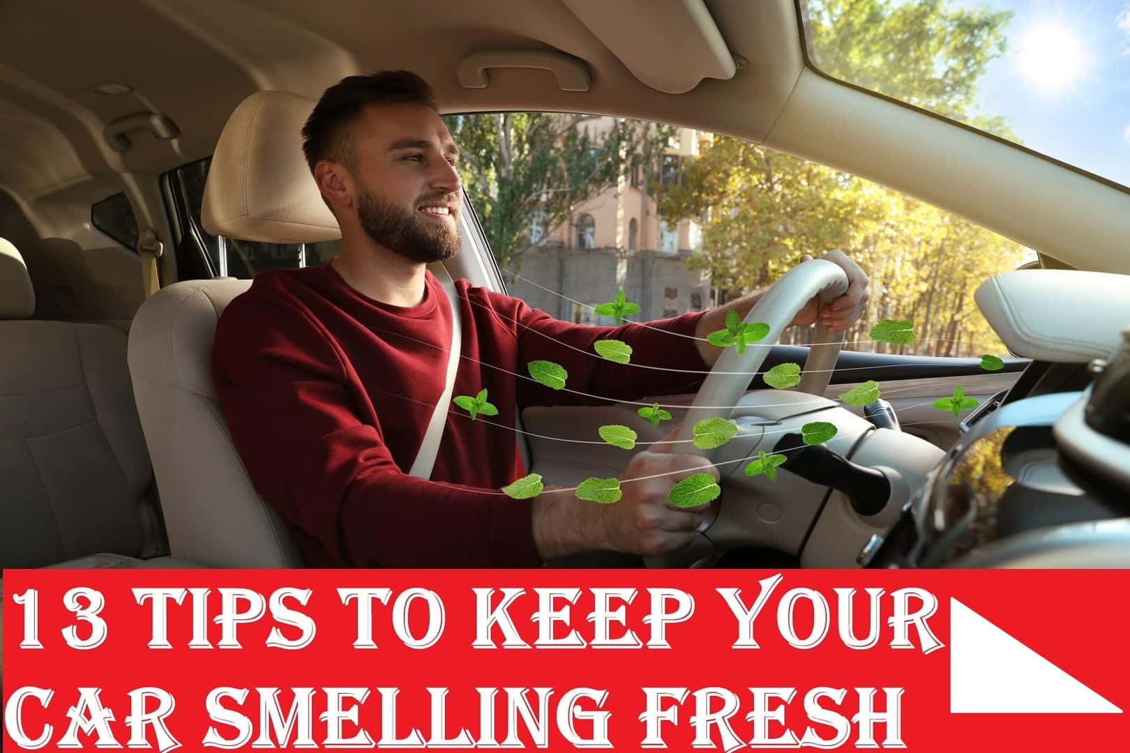 Want to know how to get rid of perfume smell in your car? These simple tips will make your car smell fresh again.
