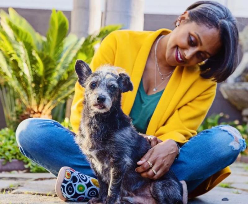 Support the Dunn County Humane Association and Save Animals.