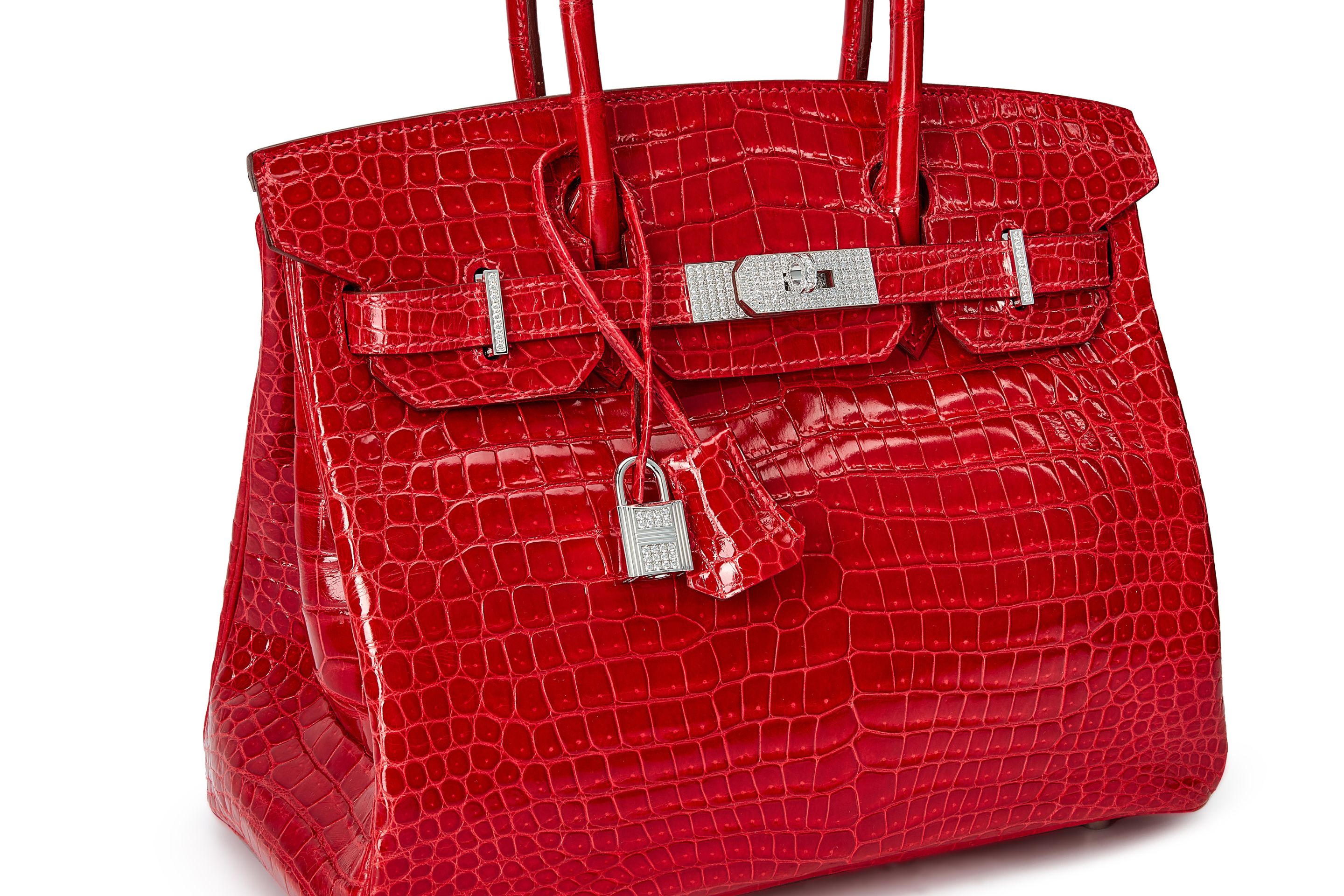 Dreaming of owning a birkin with diamonds and want to know more? (Learn what makes it so incredibly desirable worldwide)
