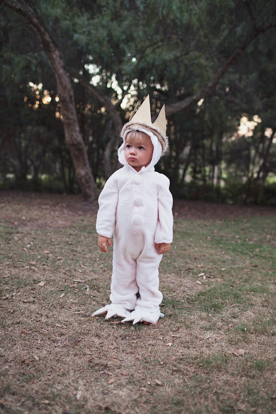 How to make a max where the wild things are outfit: Simple DIY steps for an awesome look.